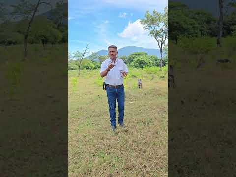 Propiedad en Venta 4 Mz El Pilon, Conchagua, La Unión, El Salvador.