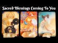 💎Sacred Blessings On Their Way | Pick-A-Card