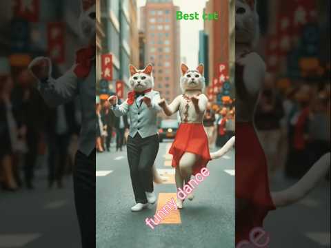 Awesome cat dance#cat#tranding #cat lover jishnu#shorts