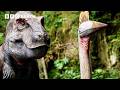 T Rex Ambush Walking With Dinosaurs BBC Earth