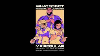 Mr Regular Music Video