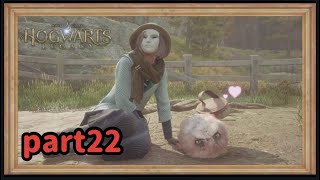 【ホグワーツレガシー】魔法生物に大はしゃぎの転校生part22