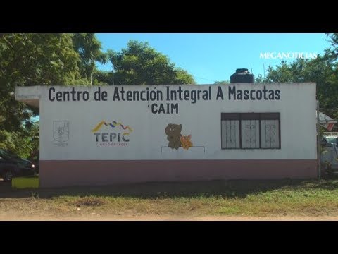 CAIM brinda atención médica para mascotas