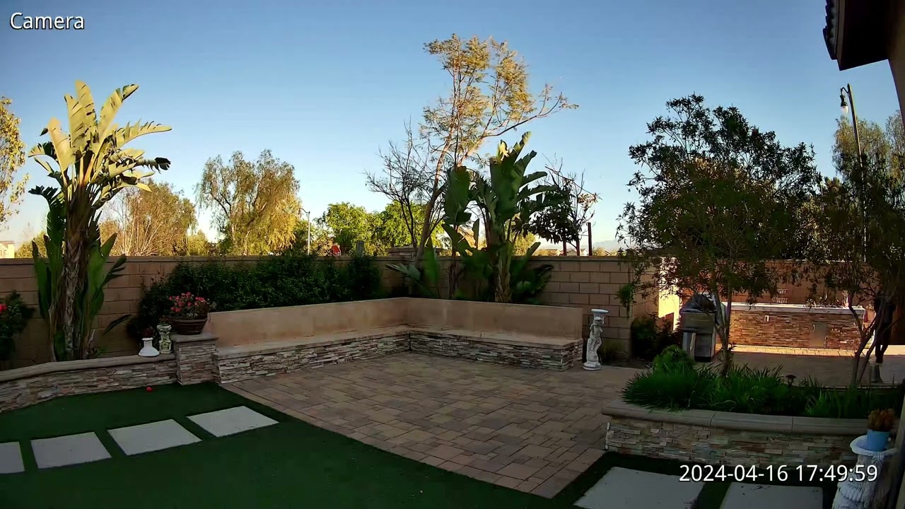 Quiet backyard capture
