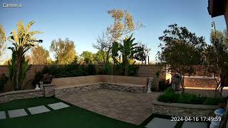 Quiet backyard capture