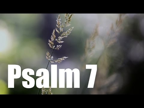 Psalm 7 - Bittgebet eines unschuldig Verfolgten