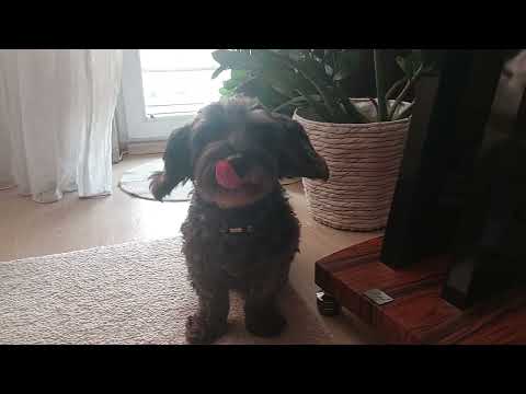 Audiophile song from Slovakia  ???????? Jaro Filip - Informácia o ovzduší