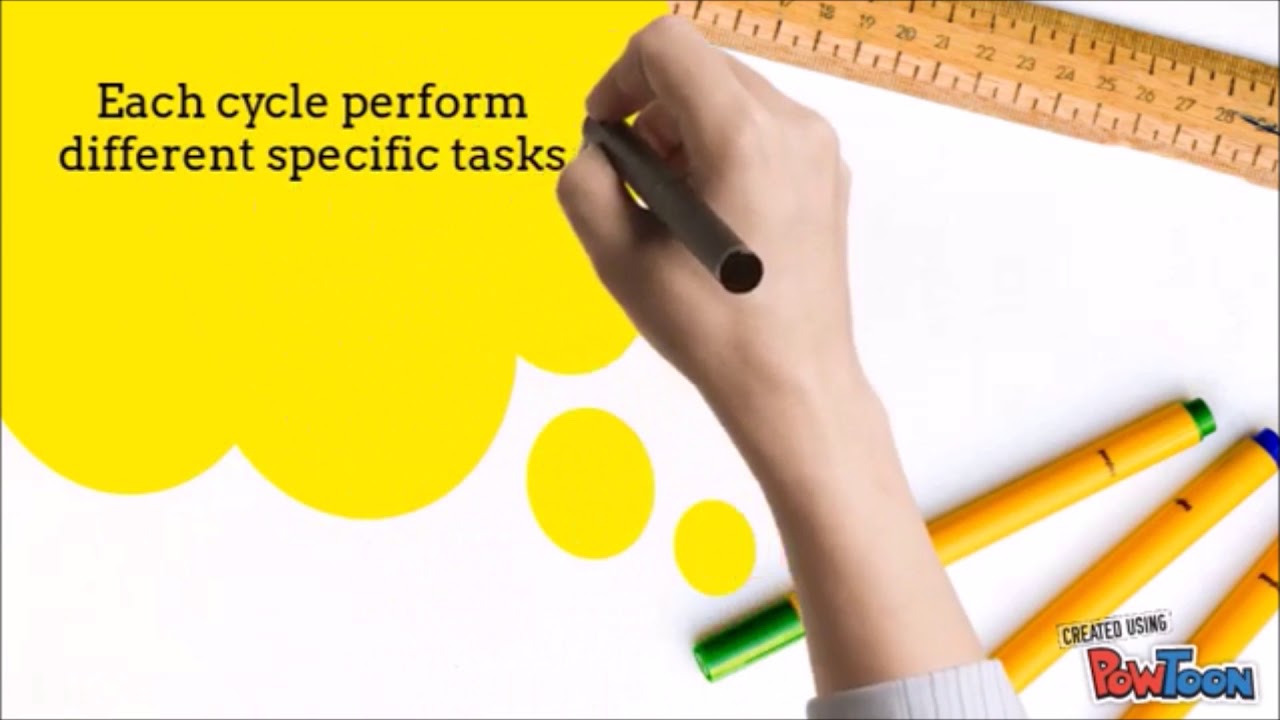 INTRODUCTION TO TRANSACTION PROCESSING CYCLES