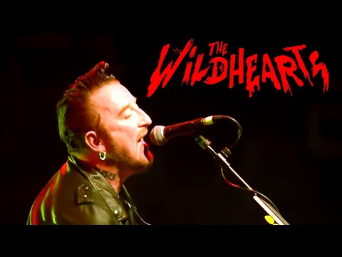 THE WiLDHEARTS - The Miles Away Girl (Live)