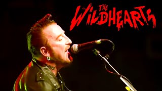 THE WiLDHEARTS - The Miles Away Girl (Live)