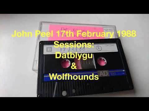 John Peel 17th February 1988   Datblygu & Wolfhounds