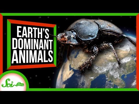 What Animal Dominates Earth?