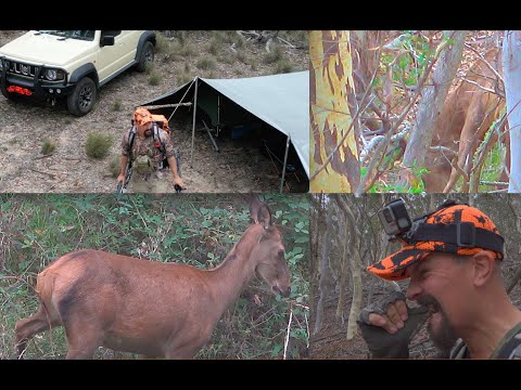 Stagnation - 2025 Red Deer Roar Starts