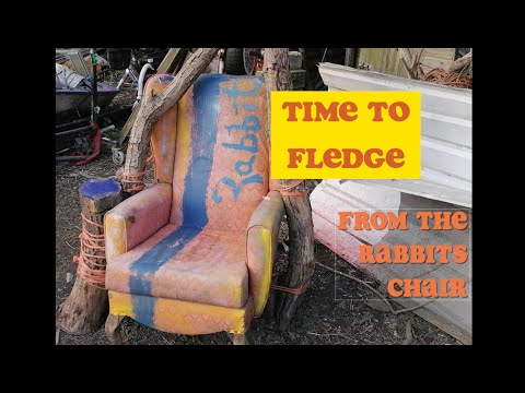 Tales from the Rabbits Chair: Time to Fledge