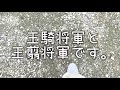 Clip 1