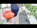 Clip 3