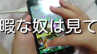 ﾋｯﾏﾞヽ(･∀･｡)ﾉﾋﾏﾋﾏヽ(｡･∀･)ﾉﾋﾏﾞヽ(･∀･｡)ﾉ ﾋﾏｰ♪