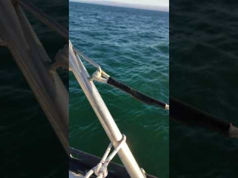 Schock 35 Project Boat: Pre-Rerig Lifelines