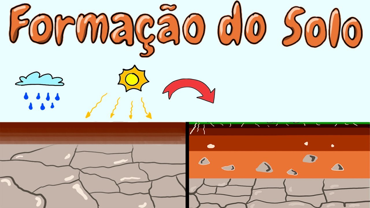 Entenda o processo de Formação e Composição do Solo - Geografia