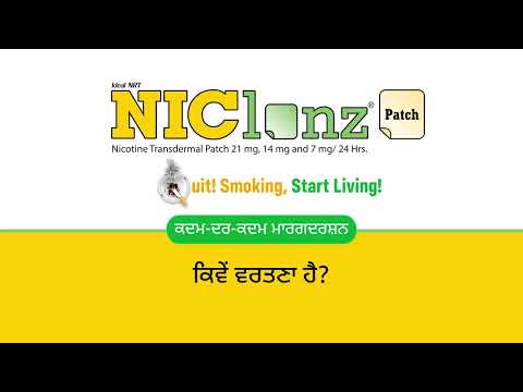 Punjabi Video Thumbnail