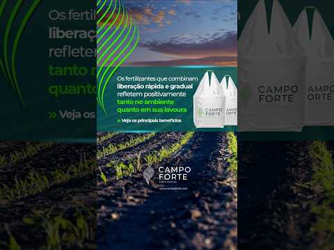 Reels Campo Forte 09