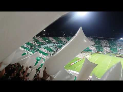 "Recibimiento a Atlético Nacional vs Rosario Central" Barra: Los del Sur • Club: Atlético Nacional