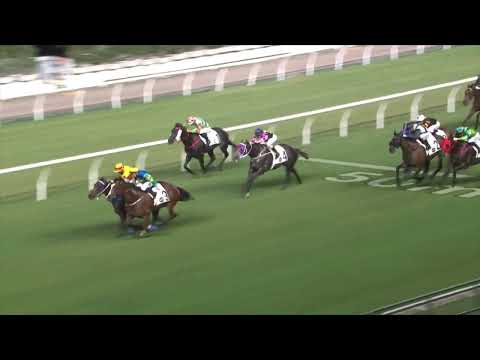 5/10/2022 (67) Noble Steed - Matthew Poon