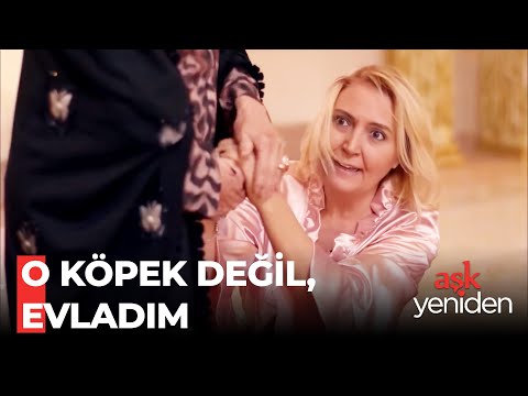 Mukadder, Cango'nun Yokluğunu Fark ETTİ! - Aşk Yeniden