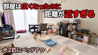 #35｜家計を見直している最中、4人がけのダイニングテーブルを手放しました。