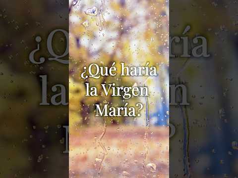 Short de YouTube