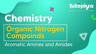 Aromatic Amines and Amides