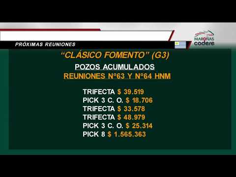 REMATE DE SERVICIOS / HIPODROMO DE MAROÑAS  - 18/08/2019