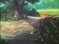 Circle Of Life Foxes