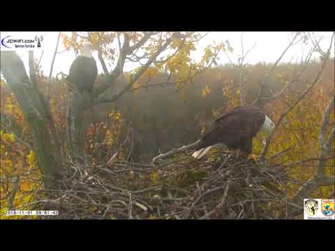 SUMRR Trio Nest--Nestorations 110118