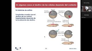 UC8 T4B-Caminos de Diferenciación