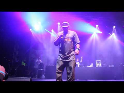 Waldemar Kasta na Polish Hip-Hop Festival Płock 2015