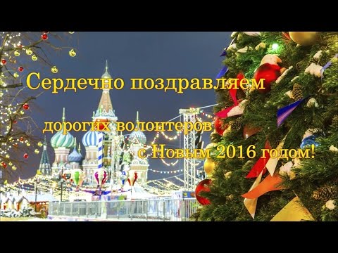 Новогоднее поздравление волонтерам от DJ Groove, Елки и Бурито!