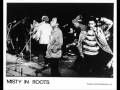 Misty In Roots Mankind Live