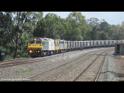 RL Class and 4 Streamliners on a Standard Gauge SSR Grain + V/Line Trains at Tallarook!