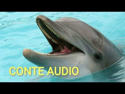 download lagu mp3 mp4 Conte De Dauphin, download lagu Conte De Dauphin gratis, unduh video klip Conte De Dauphin