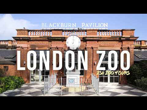 London Zoo Tour | The World's Most Historic Zoo?