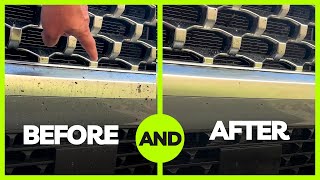 INSTANT BUG REMOVAL: Cleans Bumpers and Windshields in 30 Seconds