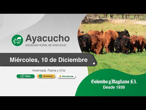 2025.12.11 Ayacucho