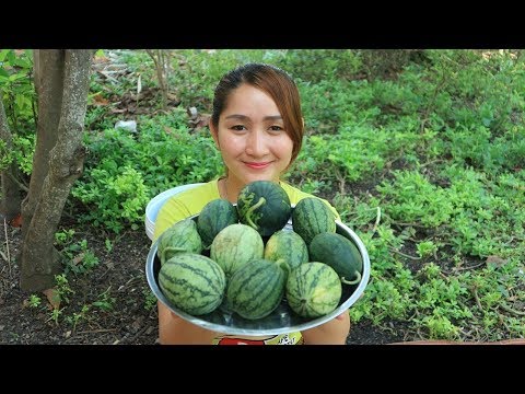 Yummy Young Water Melon Soup Cooking - Young Water Melon Soup - Cooking With Sros Video