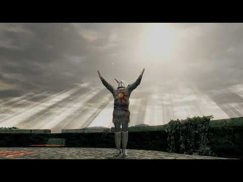 Dark Souls Solaire Praise the Sun Gesture