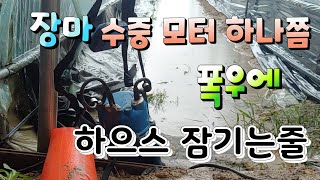 폭우에 자동 수중모터 하나는 있어야 하우스 잠길뻔 했다