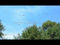 Clinton Kane I GUESS I M IN LOVE Official Lyric Video
