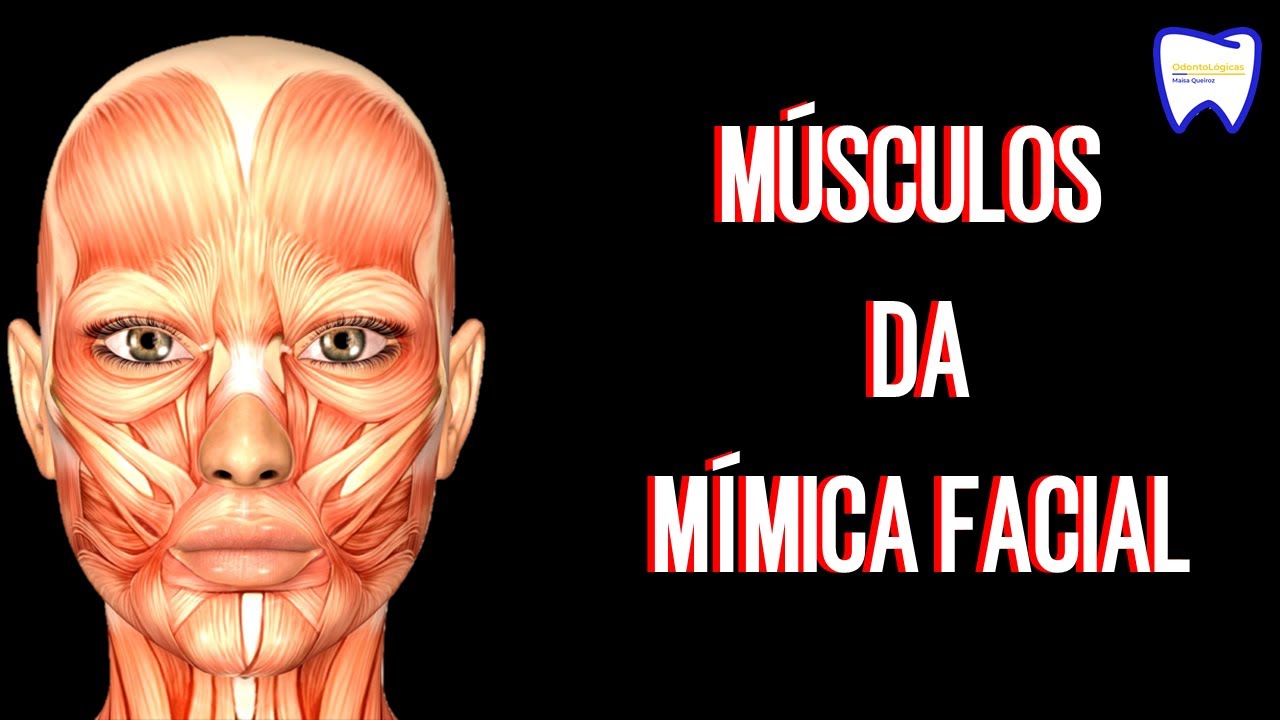 Músculos da face: Mímica facial