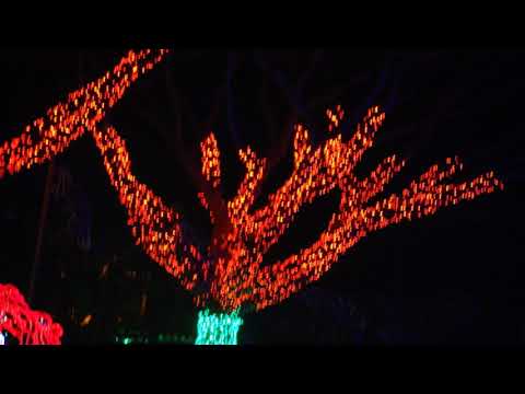 DJ ERICK DE BANGU - = = MC JEFFINHO FAIXA ROSA ( DJ ERICK ) 2018