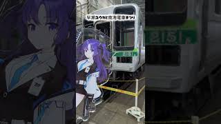 テスト。#ブルーアーカイブ#早瀬ユウカ#アクスタ #南海電車